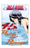 Rukia on the cover of Chapter 45.