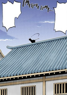 Yoruichi lands on a nearby roof with Shunpo.