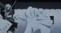 Cang Du atacando a Hitsugaya 2 (Anime)