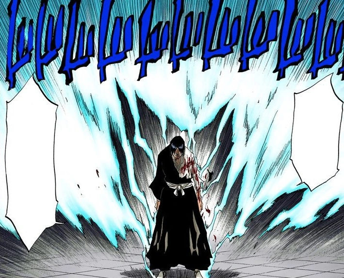 BLEACH様 レイジユ BLEACH様 レイジユ