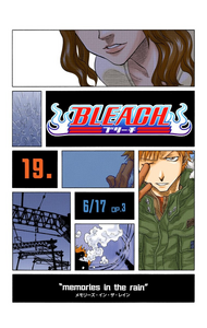 Bleach - Volume 3: Memories in the Rain