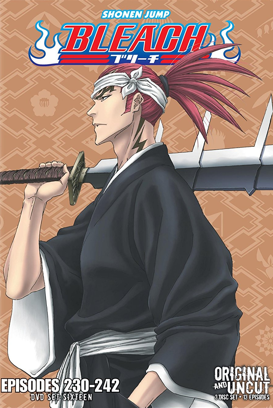 Bleach (season 13) - Wikipedia