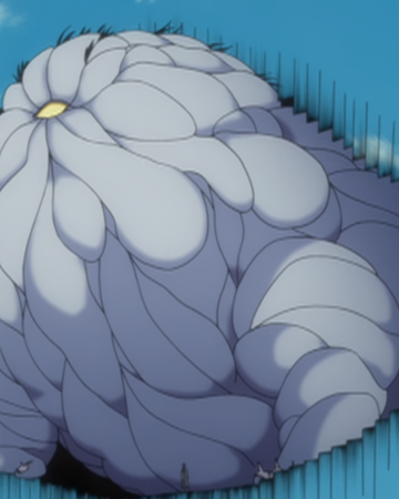 Hooleer Bleach Wiki Fandom