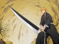 Ichigo prepares for Bankai Training.