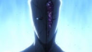 301Aizen is wounded