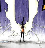 Yoruichi activates her Shunkō.