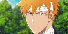 Ichigo acepta ir al rey (anime)