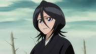 Rukia tells Sode no Shirayuki to remain focused on the battle.