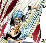 Grimmjow activates his Resurrección.