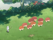 A herd of Meatballs walk along the plains.