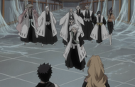 Hitsugaya and several other captains appear.