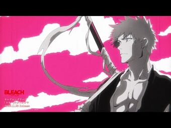 Scar | Bleach Wiki | Fandom