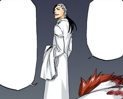 Luders Friegen, Bleach Wiki