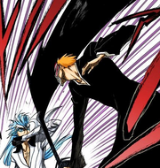 Grimmjow blocks a powerful strike from Ichigo.