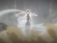 Suì-Fēng demonstrates her wind-based Shunkō technique to Yoruichi.