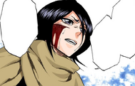 Rukia promises to let Kaien kill her after she rescues Orihime.