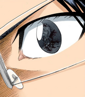 Uryū sees Sōken's bloody head.