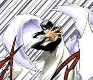 Byakuya directs Senbonzakura Kageyoshi with his hand to double its speed.