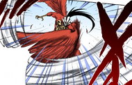 Abirama uses Pluma Viento to block Izuru's attack.