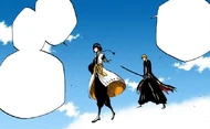 Suì-Fēng explains to Ichigo how they are all fighting for themselves and each other.