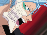 Grimmjow declares that Ichigo does not need a grand reason to fight.