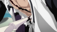 Nnoitra stabs Kenpachi.