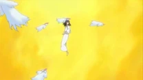 Senna como el Shinenju