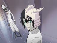 Ulquiorra elaborates on the details of Aizen's plan to Nnoitra.