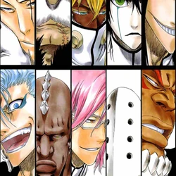 Bleach Wiki Fandom Open for commissions more here www.facebook.com/luisgfigueire… bleach wiki fandom