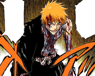 Ichigo reveals that he has achieved Bankai.