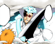 Quilge tells Ichigo to aim before slashing.