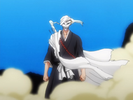 Here's what the names mean in Bleach #bleach #ichigo #ichigokurosak