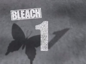 Bleach season 1 The Day I Became a Shinigami - Metacritic