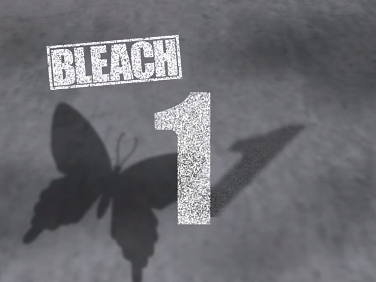 Is this a mistake or no that all the bleach episode titles on