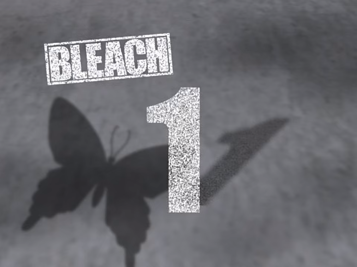 The Day I Became a Shinigami | Bleach Wiki | Fandom