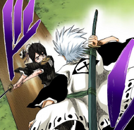 Hinamori appears in front of Hitsugaya when he moves to attack Gin.