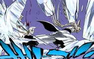 Shawlong slashes through Hitsugaya's right wing.