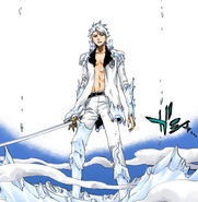 Hitsugaya's older appearance.