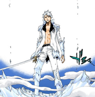 hitsugaya toshiro grown up