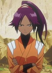 ، في عالم الأحياء. ساعد Yoruichi مع صدي