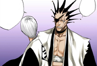 Kenpachi reprimands Gin for letting a Ryoka get away.