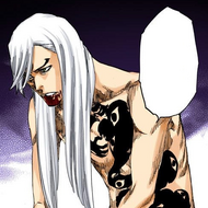 Jūshirō Ukitake, Bleach Wiki