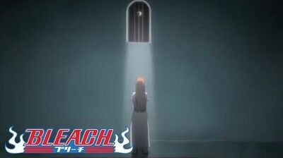 D-tecnoLife, Bleach Wiki