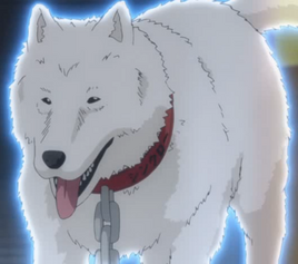 Ep135ShintaroSoul