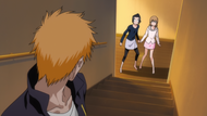 Ichigo tells Karin and Yuzu to go to bed.