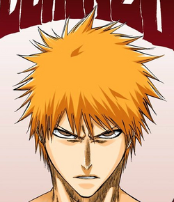 Ichigo Kurosaki/Image Gallery, Bleach Wiki