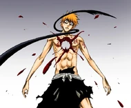 Ichigo is mortally wounded by the Cero Oscuras.