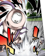 A large Hollow attacks Rukia.