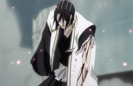 Byakuya's arm is mutilated by his own blades.