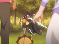 Orihime and Sado see Yoruichi transport Ichigo outside the mansion.